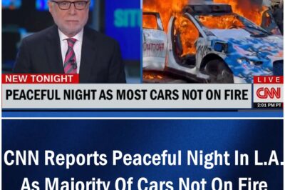 ‘It’s another quiet night in L.A’ CNN Reports Peaceful Night In L.A. As Majority Of Cars Not On Fire