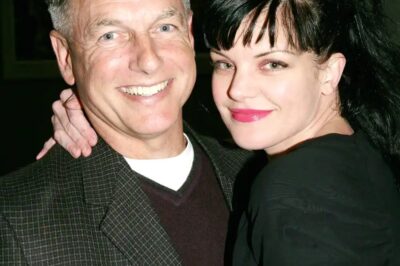 NCIS Quietly Shuts Down the One Path That Could Have Brought Abby Back and Fans Are Wondering If This Was Done on Purpose  NCIS just pulled the plug on the only storyline that could’ve brought Abby back—leaving long-time fans stunned. What looked like a secret pathway to her return was quietly erased, and speculation is exploding: was this a calculated move or a missed emotional moment? The fandom’s reaction? Raw, divided, and louder than ever…