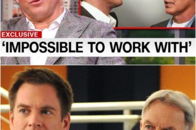 NCIS Chaos Erupts After Michael Weatherly’s Cryptic Comments and Fans Think Gibbs’ Return Might Be Off the Table for Good…