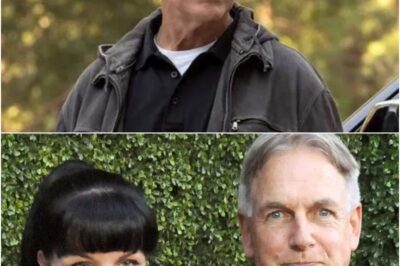 BREAKING: Mark Harmon’s Secret Health Scare EXPOSED After 250 Days Missing and Fans Are Asking What He’s Been Hiding All Along