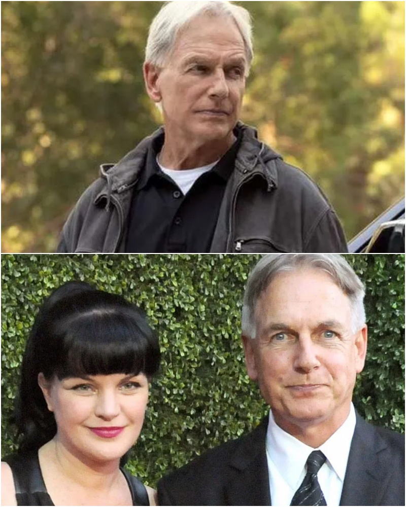 BREAKING Mark Harmon’s Secret Health Scare EXPOSED After 250 Days(01)