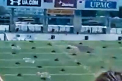 VIDEO: Explosive Fan Footage Of Batman ‘The Dark Knight Rises’ Shot At Heinz Field Goes Viral