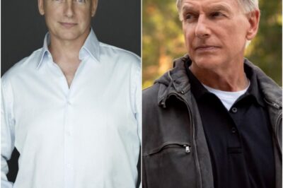 PHOTO: Fans Stunned After NCIS Icon Mark Harmon, 73, Spotted Carrying 42-Pound Water Jugs Looking Shockingly Ripped in Rare Sighting