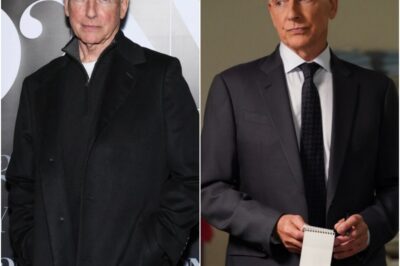 For 18 seasons, Mark Harmon didn’t just play Gibbs—he was NCIS. But what made his role feel so real? Why did fans trust him so deeply, week after week? And how involved was he behind the scenes? Let’s just say… Gibbs wasn’t the only one calling the shots.