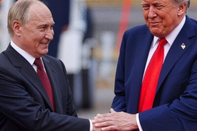 Here’s The Shocking Secret Behind ᴘᴜᴛɪɴ’s ‘Poop Suitcase’ He Allegedly Brought To Meeting With ᴅᴏɴᴀʟᴅ ᴛʀᴜᴍᴘ’ꜱ