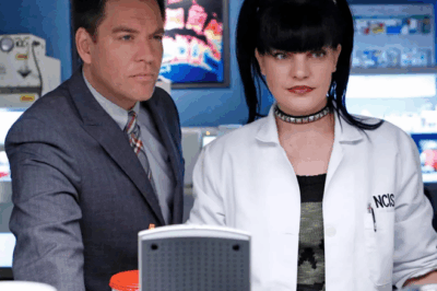 EXCLUSIVE: NCIS Star Pauley Perrette Vanished From Hollywood And Her New Life Has Fans Heartbroken