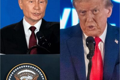 VIDEO: ᴘᴜᴛɪɴ Drops JAW-DROPPING Four-Word English Bombshell That Leaves ᴅᴏɴᴀʟᴅ ᴛʀᴜᴍᴘ Completely STUNNED On Camera