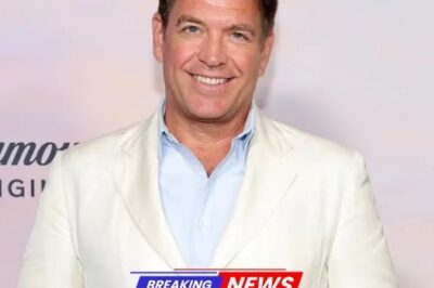 Michael Weatherly Reveals The Biggest Celebrity Guest Stars On NCIS And Fans Are Stunned