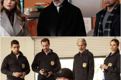 UNBELIEVABLE: NCIS Star Shocks Fans By Filing For Divorce After 12 Years Of Marriage And The Details Will Leave You Speechless