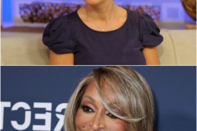 Woman ID’d As Phillies “Karen” Speaks Out After Viral Video Of Kid Losing His Home Run Ball Breaks The Internet