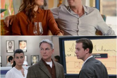 NCIS Tony And Ziva Showrunner Teases Huge Crossovers And A Shocking Gibbs Easter Egg Fans Almost Missed