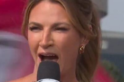 Erin Andrews Was Making a Statement in the Kansas City Heat During FOX Pregame Show [VIDEO]
