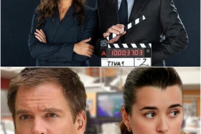 BREAKING: Tony And Ziva Spinoff Just Dropped With Heartbreaking Reunion Twist Fans Flooding Social Media To Grade The New NCIS Show