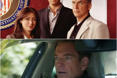 NCIS: Tony & Ziva Episode 5 Twist D3ath Leaves Fans Stunned As Tragic Loss Shatters Any Hope Of A Normal Life For The Couple