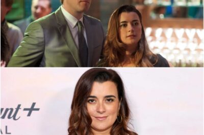Cote de Pablo Explodes Into Action On NCIS: Tony & Ziva Set After Unexpected Stunt Mishaps That Could Have Ended Horribly