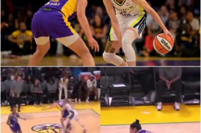 Cameras Caught Paige Bueckers Pushing Kelsey Plum During Intense Los Angeles Sparks-Dallas Wings Game [VIDEO]