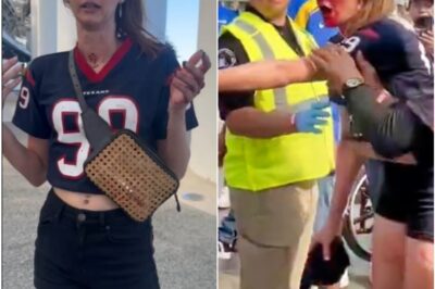 SH0CKING: Fans Are Now Boycotting NFL Games After Horrifying Scene That Left Female Fan Gushing Blood Went Viral [VIDEO]