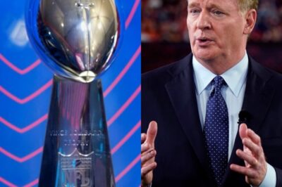 Roger Goodell Makes Major Announcement About The Future Of The Super Bowl That Has NFL Fans Fuming