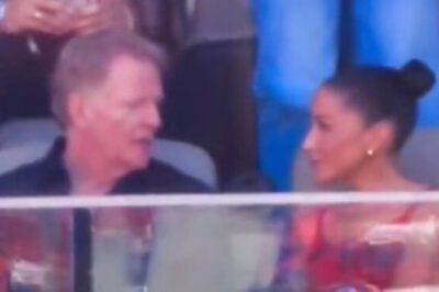 Female Sitting Next To Roger Goodell At 49ers-Cardinals Game Has Been Identified [VIDEO]