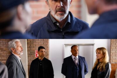 NCIS Shocks Fans As New Cast Member Joins Following Heartbreaking Character D3ath Leaving Viewers Reeling