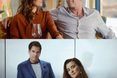 UNBELIEVABLE: Cote de Pablo Stuns NCIS Fans With Explosive Confession About Why She And Michael Weatherly Rejected Intimacy Coordinator On ‘Tony & Ziva’