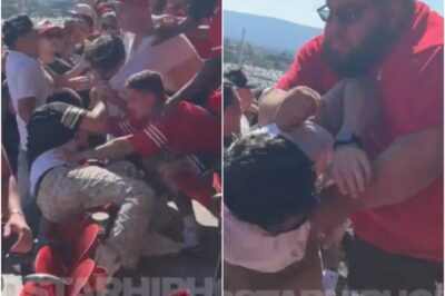 49ers Fans Unleash Haymakers & WWE-Style Maneuvers Over Rows Of Seats During Crazy Brawl In The Stands (VIDEO)