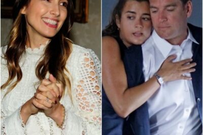 Meet Michael Weatherly’s Stunning Wife Bojana Jankovic From NCIS Tony And Ziva