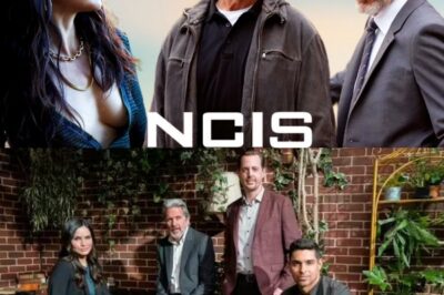 NCIS Fans Lose Their Minds After Star Confirms Secret Role In Massive New Disney Movie
