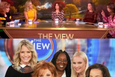 ‘The View’ Host Goes Viral For Explosive Rant That Has Everyone Calling For Her To Be Fired