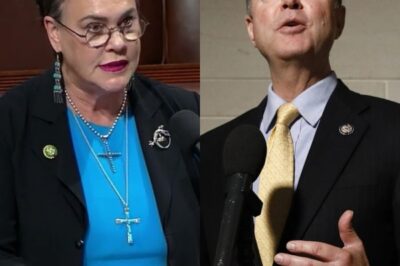 TOTAL MELTDOWN ON THE HOUSE FLOOR: Adam Schiff Breaks Down As Harriet Hageman PUBLICLY EXPOSES Him In Front Of Congress
