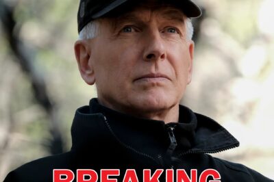 Mark Harmon’s Surprise NCIS Return Sends Fans Into Total Meltdown After 4 Years Away