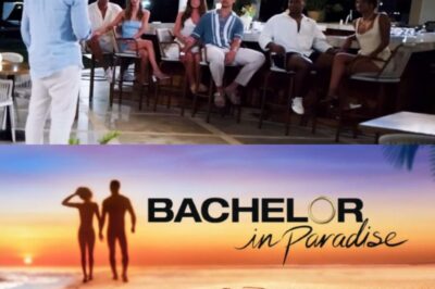 Bachelor In Paradise Viewers Stunned After S10 Couple Cuts Social Media Ties And Ignites Split Rumors