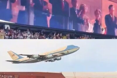 New POV Angle Ca𝚞ght Donald Tr::𝚞mp’s Reaction To Getting B00ED At Commanders-Lions Game [VIDEO]