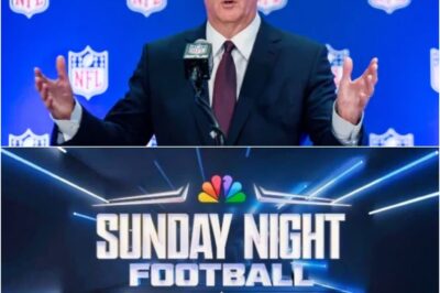 BREAKING: NFL Makes Ridiculous Week 13 Schedule Announcement That Will Piss Every Fan Off