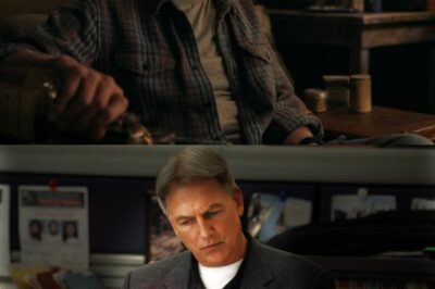 Mark Harmon Shocks Fans With NCIS Comeback For Major Gibbs Crossover Episode Decades In The Making