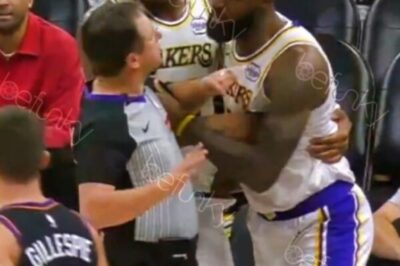 LeBron James Explodes at Referees After Taking a Rough Shot From Dillon Brooks [VIDEO]