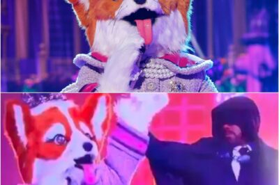 THE MASKED SINGER JUST BLEW UP ITS OWN RULEBOOK AND SEASON 14 IS GOING FULL COSMIC CHAOS. Forget everything you thought you knew. The moment producers teased a shocking Ozzy Osbourne-inspired reveal colliding with a wild Star Trek twist, the fandom exploded. This isn’t just a new season — it’s a full-scale spectacle built on rock-legend energy, sci-fi drama, and emotional gut punches designed to keep viewers screaming at their screens every single week. Insiders say Season 14 is darker, bolder, funnier, and way more unpredictable than anything the show has ever attempted… and fans are already losing their minds. If you thought you’d seen it all Season 14 is here to prove you haven’t seen anything yet. Full preview below