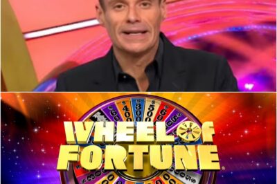 Wheel Of Fortune Viewers Lose It After Audience Behavior Crosses A Line On Live TV