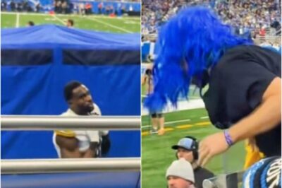 Shocking New Fan Footage Exposes the Real Reason DK Metcalf Grabbed and Pun::ched Lions Fan in Wild Altercation [VIDEO]
