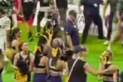Hawaii Bowl Erupts in Massive Christmas Eve Brawl: Punches Fly, Helmets Launched in Epic Post-Game Mayhem [VIDEO]