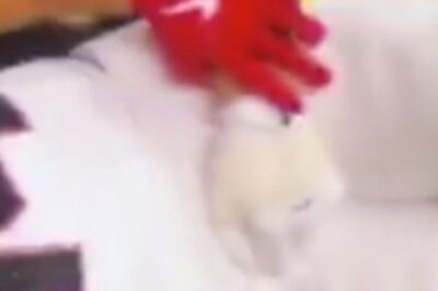 Steelers Player Caught In 4K Grabbing Texans WR’s 𝘑𝘶𝘯𝘬 & Twisting It For No Reason At All [VIDEO]