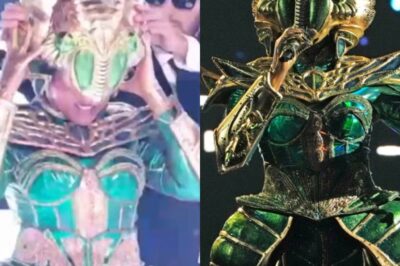 The Masked Singer Delivers Jaw Dropping Scarab Reveal And Viewers Say The Show Just Eliminated Its Biggest Star