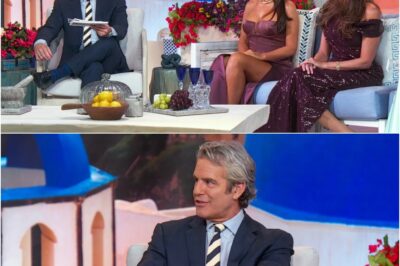 RHOSLC Erupts Online After Fans Notice Explicit NSFW Detail Behind Andy Cohen That Slipped Past Everyone