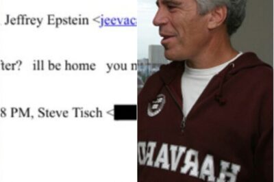SHOCKING: At Least 4 Different NFL Owners Have Been Exposed In The Latest Release Of Jeffery Epstein Files