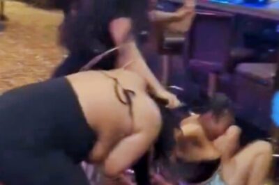 Chaos at the Slots: Wild Fight Erupts in Las Vegas Casino, With Dresses & 𝘍𝘪𝘴𝘵𝘴 𝘍𝘭𝘺𝘪𝘯𝘨 [VIDEO]