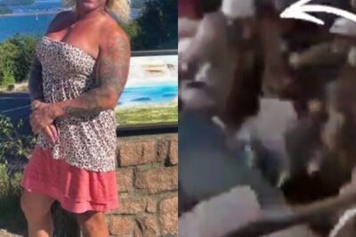 Frightening New Angle Released Of Mass Sh00ting At Pawtucket Hockey Game – More Disturbing Details About Transgender Suspect Emerge [VIDEO]