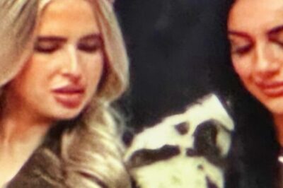 Everyone Was Drooling Over The Breathtaking Fan Who Was Showing Plenty Of Skin In Her Revealing Outfit While Sitting Courtside At Raptors Game [VIDEO]