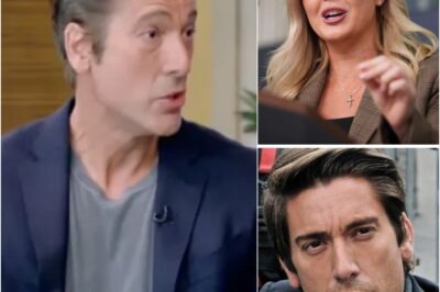 David Muir Reportedly Files Lawsuit After Karoline Leavitt’s Explosive On Air Attack During ABC Interview Stuns Viewers