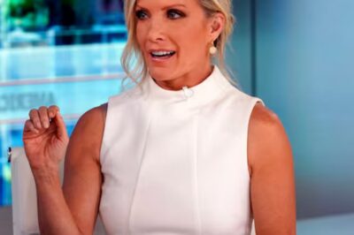 Dana Perino Drops Emotional Truth About The Hidden Toll Of Covering Constant Breaking News