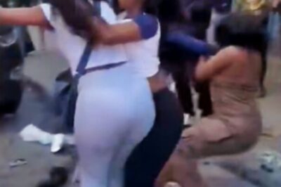 Female Detroit Tigers Fans Got Into Wild Hair-Pulling, Fist-Throwing Brawl On The Street [VIDEO]